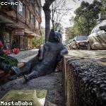Hazle Nader Profile Picture