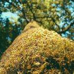 Buford Jast Profile Picture